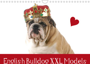 English Bulldog XXL Models (Wandkalender 2022 DIN A4 quer) von Stanzer,  Elisabeth