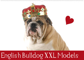 English Bulldog XXL Models (Wandkalender 2023 DIN A2 quer) von Stanzer,  Elisabeth