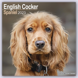 English Cocker Spaniel – Englische Cockerspaniels 2023 – 16-Monatskalender