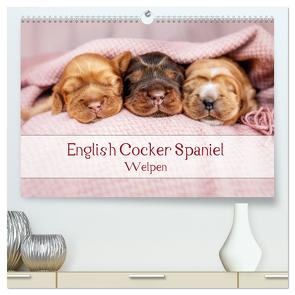 English Cocker Spaniel Welpen (hochwertiger Premium Wandkalender 2024 DIN A2 quer), Kunstdruck in Hochglanz von Wobith Photography - FotosVonMaja,  Sabrina