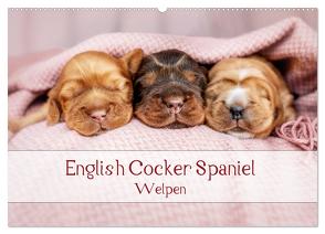 English Cocker Spaniel Welpen (Wandkalender 2024 DIN A2 quer), CALVENDO Monatskalender von Wobith Photography - FotosVonMaja,  Sabrina