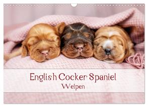 English Cocker Spaniel Welpen (Wandkalender 2024 DIN A3 quer), CALVENDO Monatskalender von Wobith Photography - FotosVonMaja,  Sabrina