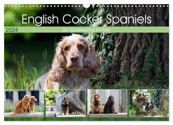 English Cocker Spaniels – Ein Spaziergang im Park (Wandkalender 2024 DIN A3 quer), CALVENDO Monatskalender von Verena Scholze,  Fotodesign