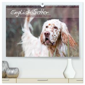English Setter – Impressionen edler Hunde (hochwertiger Premium Wandkalender 2024 DIN A2 quer), Kunstdruck in Hochglanz von VISOVIO,  VISOVIO