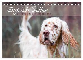 English Setter – Impressionen edler Hunde (Tischkalender 2024 DIN A5 quer), CALVENDO Monatskalender von VISOVIO,  VISOVIO