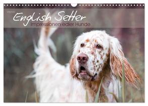 English Setter – Impressionen edler Hunde (Wandkalender 2024 DIN A3 quer), CALVENDO Monatskalender von VISOVIO,  VISOVIO