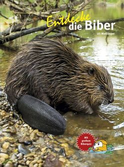 Entdecke die Biber von Meßlinger,  Ulrich