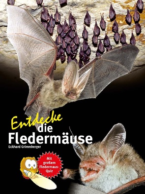 Entdecke die Fledermäuse von Grimmberger,  Eckhard