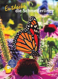 Entdecke die Schmetterlinge von Schmidt,  Thomas