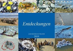 Entdeckungen am Meeresstrand (Tischkalender 2019 DIN A5 quer) von Felix,  Holger