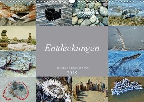 Entdeckungen am Meeresstrand (Wandkalender 2018 DIN A3 quer) von Felix,  Holger