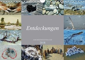 Entdeckungen am Meeresstrand (Wandkalender 2018 DIN A4 quer) von Felix,  Holger