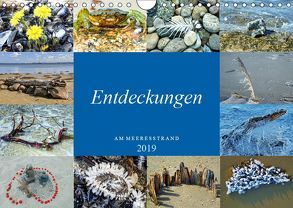 Entdeckungen am Meeresstrand (Wandkalender 2019 DIN A4 quer) von Felix,  Holger