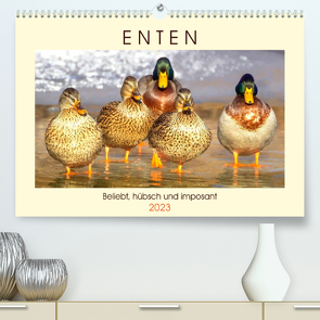 Enten. Beliebt, hübsch und imposant (Premium, hochwertiger DIN A2 Wandkalender 2023, Kunstdruck in Hochglanz) von Hurley,  Rose