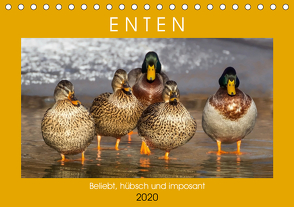 Enten. Beliebt, hübsch und imposant (Tischkalender 2020 DIN A5 quer) von Hurley,  Rose