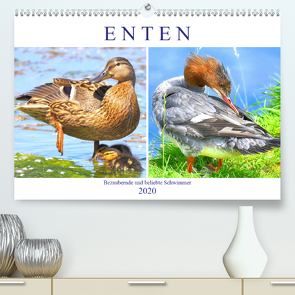 Enten. Bezaubernde und beliebte Schwimmer (Premium, hochwertiger DIN A2 Wandkalender 2020, Kunstdruck in Hochglanz) von Hurley,  Rose