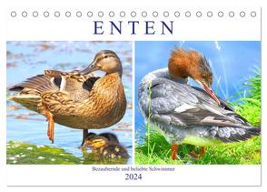 Enten. Bezaubernde und beliebte Schwimmer (Tischkalender 2024 DIN A5 quer), CALVENDO Monatskalender von Hurley,  Rose