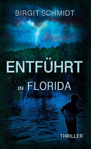 Entführt in Florida von Schmidt,  Birgit