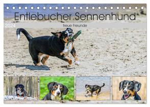 Entlebucher Sennenhund – treue Freunde (Tischkalender 2024 DIN A5 quer), CALVENDO Monatskalender von SchnelleWelten,  SchnelleWelten