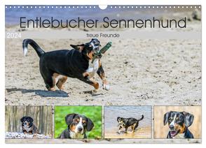 Entlebucher Sennenhund – treue Freunde (Wandkalender 2024 DIN A3 quer), CALVENDO Monatskalender von SchnelleWelten,  SchnelleWelten