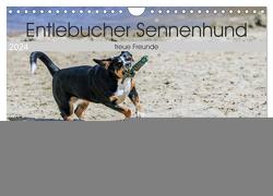 Entlebucher Sennenhund – treue Freunde (Wandkalender 2024 DIN A4 quer), CALVENDO Monatskalender von SchnelleWelten,  SchnelleWelten