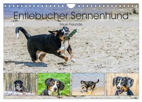 Entlebucher Sennenhund – treue Freunde (Wandkalender 2024 DIN A4 quer), CALVENDO Monatskalender von SchnelleWelten,  SchnelleWelten
