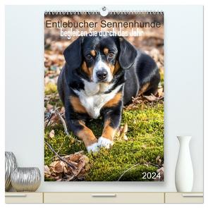 Entlebucher Sennenhunde begleiten Sie durch das Jahr (hochwertiger Premium Wandkalender 2024 DIN A2 hoch), Kunstdruck in Hochglanz von SchnelleWelten,  SchnelleWelten