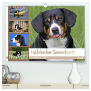 Entlebucher Sennenhunde Emma und Luna (hochwertiger Premium Wandkalender 2024 DIN A2 quer), Kunstdruck in Hochglanz von SchnelleWelten,  SchnelleWelten