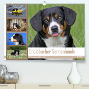 Entlebucher Sennenhunde Emma und Luna (Premium, hochwertiger DIN A2 Wandkalender 2023, Kunstdruck in Hochglanz) von SchnelleWelten