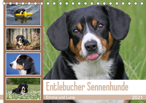 Entlebucher Sennenhunde Emma und Luna (Tischkalender 2021 DIN A5 quer) von SchnelleWelten