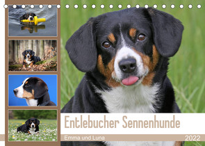 Entlebucher Sennenhunde Emma und Luna (Tischkalender 2022 DIN A5 quer) von SchnelleWelten