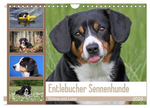 Entlebucher Sennenhunde Emma und Luna (Wandkalender 2024 DIN A4 quer), CALVENDO Monatskalender von SchnelleWelten,  SchnelleWelten