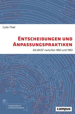 Entscheidungen und Anpassungspraktiken von Thiel,  Carla