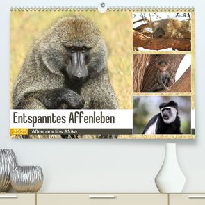 Entspanntes Affenleben (Premium, hochwertiger DIN A2 Wandkalender 2020, Kunstdruck in Hochglanz) von Herzog,  Michael