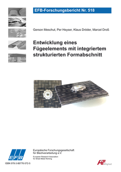 Entwicklung eines Fügeelements mit integriertem strukturierten Formabschnitt von Dröder,  Klaus, Droß,  Marcel, Heyser,  Per, Meschut,  Gerson