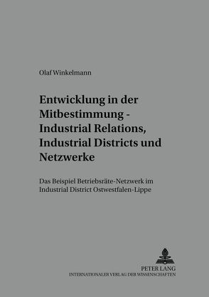 Entwicklung in der Mitbestimmung – Industrial Relations, Industrial Districts und Netzwerke von Winkelmann,  Olaf