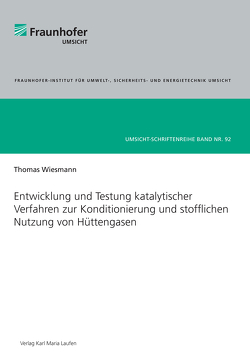 Entwicklung und Testung katalytischer Verfahren zur Konditionierung und stofflichen Nutzung von Hüttengasen von Wiesmann,  Thomas