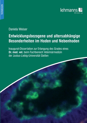 Entwicklungsbezogene und altersabhängige Besonderheiten im Hoden und Nebenhoden von Weißer,  Daniela