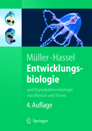 Entwicklungsbiologie von Hassel,  Monika, Müller,  Werner A.