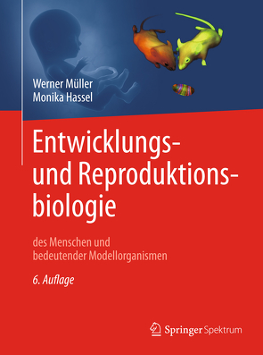 Entwicklungsbiologie und Reproduktionsbiologie des Menschen und bedeutender Modellorganismen von Hassel,  Monika, Müller,  Werner A.