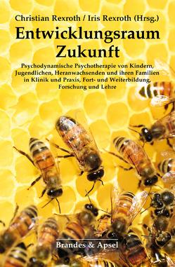 Entwicklungsraum Zukunft von Bilke-Hentsch,  Oliver, Bründl,  Peter, Burcharzt,  Arne, Bürgin,  Dieter, Cohen,  Yecheskiel, Dammasch,  Frank, Fietzek,  Elke, Franz,  Matthias, Guenter,  Michael, Hauser,  Susanne, King,  Vera, Kogan,  Ilany, Kudritzki,  Sebastian, Lebersorger,  Karin J., Lehmhaus,  Dagmar, Lienert,  Sven, Maurer,  Martin H., Moisl,  Sibylle, Oelsner,  Wolfgang, Pedrina,  Fernanda, Pfannschmidt,  Hans Jörg, Rass,  Eva, Reiffen-Züger,  Bertke, Rexroth,  Christian, Rexroth,  Iris, Salamander,  Catharina, Schambeck,  Franz, Scheerer,  Ann Kathrin, Sobanski,  Petra, Sulz,  Serge, Tömmel,  Sieglinde, Trübel,  Karin, Utari-Witt,  Hediaty, Walter,  Alfred, Wenck,  Matthias, Wienberg,  Ulla