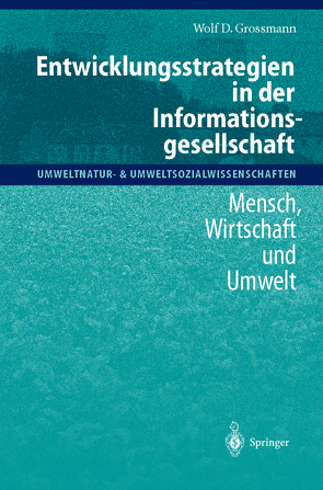 Entwicklungsstrategien in der Informationsgesellschaft von Grossmann,  Wolf D.
