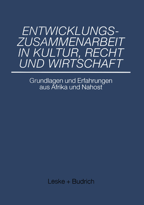 Entwicklungszusammenarbeit in Kultur, Recht und Wirtschaft von Nienhaus,  Volker