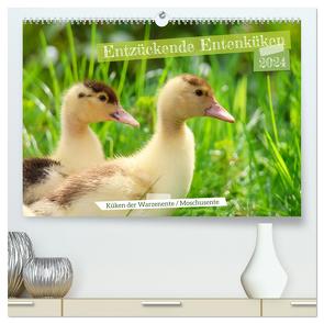 Entzückende Entenküken (hochwertiger Premium Wandkalender 2024 DIN A2 quer), Kunstdruck in Hochglanz von Löwer,  Sabine