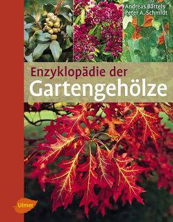Enzyklopädie der Gartengehölze von Bärtels,  Andreas, Schmidt,  Prof. Dr. Dr. h. c. Peter A.