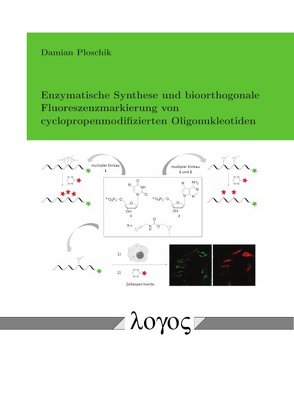 Enzymatische Synthese und bioorthogonale Fluoreszenzmarkierung von cyclopropenmodifizierten Oligonukleotiden von Ploschik,  Damian