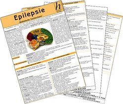 Epilepsie ( 2er-Set ) – Medizinische Taschen-Karte von Kneip,  Nadine K. N., Verlag Hawelka