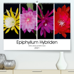 Epiphyllum-Hybriden (Premium, hochwertiger DIN A2 Wandkalender 2021, Kunstdruck in Hochglanz) von Gierok,  Steffen, Latniak,  Steffen