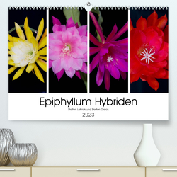 Epiphyllum-Hybriden (Premium, hochwertiger DIN A2 Wandkalender 2023, Kunstdruck in Hochglanz) von Gierok,  Steffen, Latniak,  Steffen