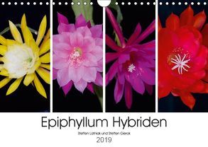 Epiphyllum-Hybriden (Wandkalender 2019 DIN A4 quer) von Gierok,  Steffen, Latniak,  Steffen